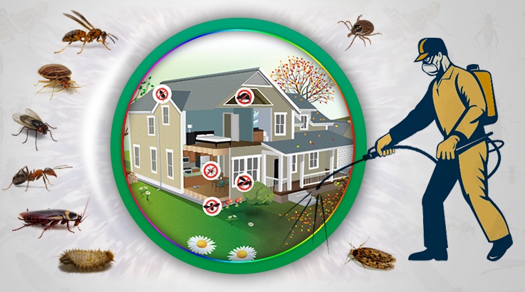 Çamlıhemşin Böcek İlaçlama