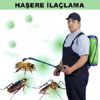 Çamlıhemşin Böcek İlaçlama